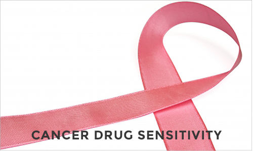 Cancer drug sensitivity testing
